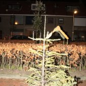Kerstboombranden Noordwijk